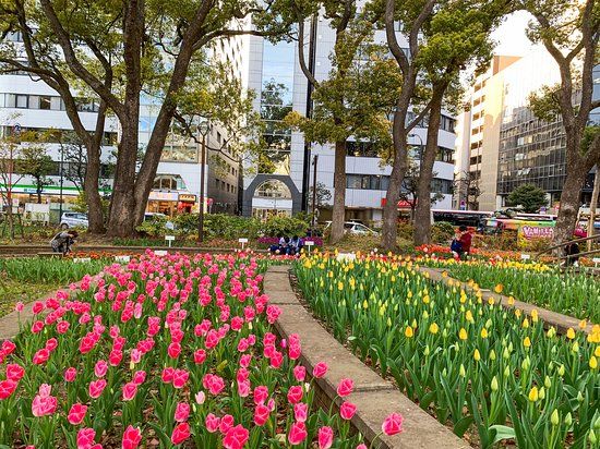 Yokohama Park